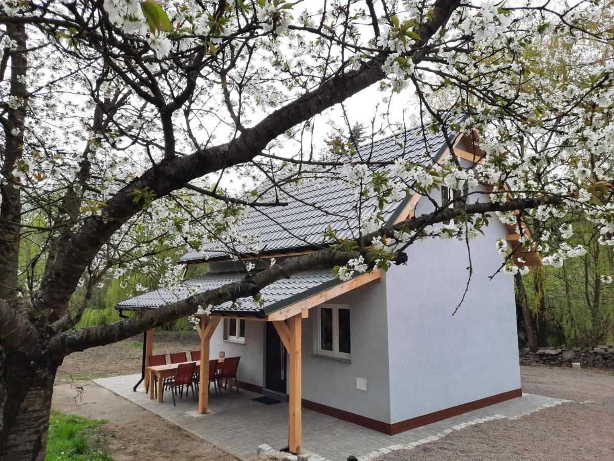 Noclegi Różanka ugości w domku wielosezonowym grupę do 6 osób Radomierz Exterior foto